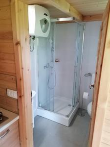 een douche met een glazen deur in de badkamer bij Lesena hiška čebelnjak in Loče pri Poljčanah