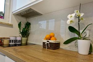 Fotografia z galérie ubytovania Studio apartment Ginger Porec v Poreči