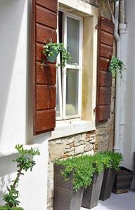 Vonkajšia záhrada v ubytovaní Studio apartment Ginger Porec
