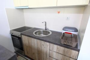a small kitchen with a sink and a trash can at SokoBlue in Soko Banja