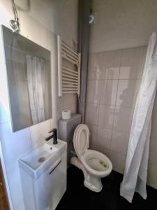 La petite salle de bains est pourvue de toilettes et d'un lavabo. dans l'établissement Relaxing Studio in Sofia Center, à Sofia