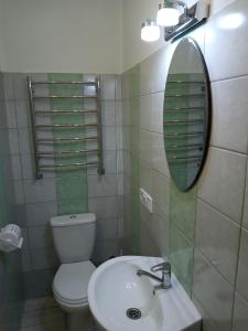a bathroom with a toilet and a sink and a mirror at Family Apartments Lviv Villa OLGA in Lviv +28 photos