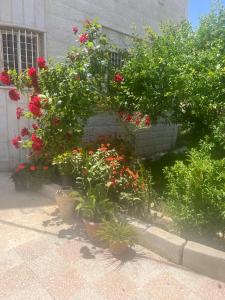 a group of plants and flowers in a garden at Ajloun Rest House in ‘Ayn Jannā
