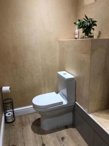 a bathroom with a white toilet and a plant at Kortrijk Paarl Self Catering in Paarl