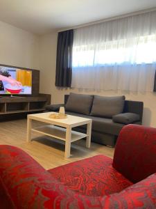 ein Wohnzimmer mit einem Sofa und einem Tisch in der Unterkunft Fremdenzimmer& Appartementhaus Blassnig in Finkenstein