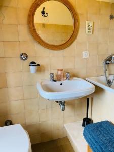 uma casa de banho com um lavatório, um espelho e um WC. em Casa Faini em Sorano