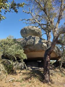 Tó的住宿－Retiro Terrasol，一块大石头前面的树