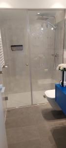 a bathroom with a shower and a toilet at Alojamiento moderno y sofisticado con vistas a la ciudad in Bilbao