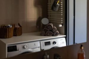 a washing machine in a kitchen with a counter top at BlueWater Apartment in Mikołajki