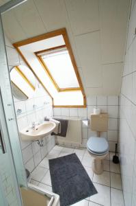 a bathroom with a toilet and a sink and a skylight at Havelschatz in Bensdorf