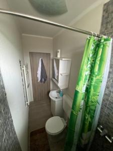 ein Bad mit einem WC und einem Duschvorhang in der Unterkunft “Home sweet home” in Sîntandrei