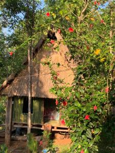 uma casa com telhado de palha com flores em Hoàng Ánh - Kon Xom Luh em Kon Tum