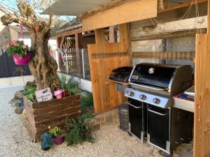 a grill and a barbecue in a backyard at Maison de campagne entre vigne et bois in Chablis