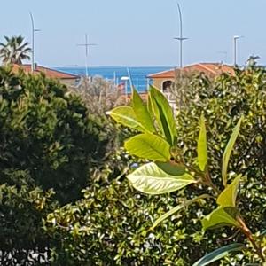 un arbre avec des feuilles vertes en face de l'océan dans l'établissement 100 metri dal mare, à Lido di Camaiore