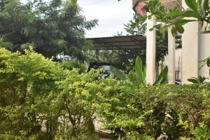 a garden in front of a house with trees at FOUR-G HOMESTAY & Komodo Tour in Labuan Bajo