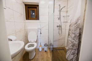 a bathroom with a toilet and a shower and a sink at Holiday Home Kozorog in Bohinj