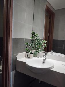 uma casa de banho com um lavatório com um vaso de plantas em Sky Oasis 2 Room 2wc Homestay Ecopark em Hanói