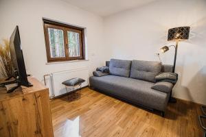 a living room with a couch and a television at Holiday Home Kozorog in Bohinj