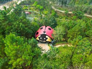 widok z powietrza na namiot biedronki w lesie w obiekcie MEDDOM Park w mieście Cao Phong