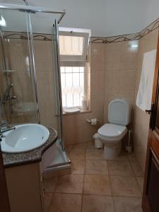 a bathroom with a shower and a toilet and a sink at Costamar in Lagos