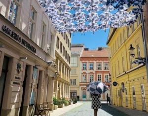 una persona che cammina per strada con un ombrello di I & I Apart, Garage - historical old town Bratislava a Bratislava