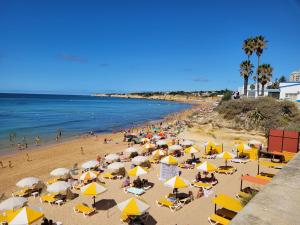 En strand i nærheden af lejligheden