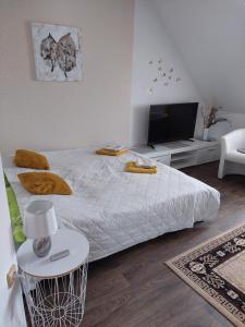 1 dormitorio blanco con 1 cama y TV en Ubytování u Solárky, en Trojanovice