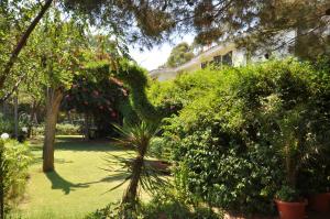 un jardín con árboles y arbustos y un edificio en Bed & Breakfast Agriturismo San Macario, en Pula