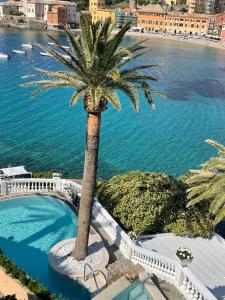 a palm tree next to a swimming pool next to the water at Hotel Helvetia in Sestri Levante