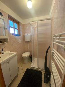 Bilik mandi di Apartament ETRA close to piste