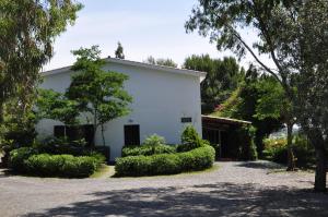 a white building with trees and a driveway at Bed & Breakfast Agriturismo San Macario in Pula
