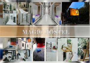 ピピ島にあるMagic Hostelの魔法病院絵図