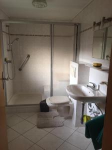 a bathroom with a shower and a toilet and a sink at Ingrid Merkle aus Neckarsulm in Karby