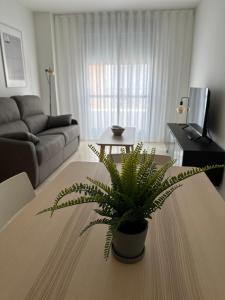 a living room with a table with a plant on it at AT home Señorio de Molina in Guadalajara