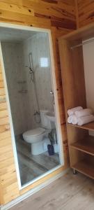 W łazience znajduje się toaleta, prysznic i umywalka. w obiekcie Yolda Bungalow Cafe w mieście Kumluca