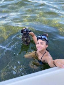 a woman in the water with a sea turtle at Spacious 4 bedroom with 2 baths with Pool and boat dock in Crystal River