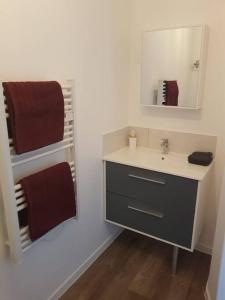 Miniac-Morvan的住宿－Appartement T2 Saint Malo, Dinard, Dinan et Dol，浴室配有盥洗盆、镜子和毛巾