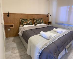 een slaapkamer met een groot bed met 2 kussens bij CyclosApart - Bariloche in Bariloche