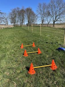 a group of orange cones sitting in the grass at In't Noord in Tossens