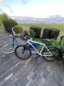 two bikes parked next to each other on a brick road at In't Noord in Butjadingen OT Tossens