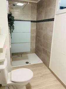 a bathroom with a shower with a toilet and a shower at Etape du soleil in Lunel