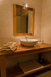 La salle de bains est pourvue d'un lavabo et d'un miroir sur un comptoir. dans l'établissement De Groote Waere, à Dixmude