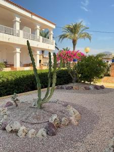Imagen de la galería de Apartamentos Turísticos Los LLanos, en Cuevas del Almanzora