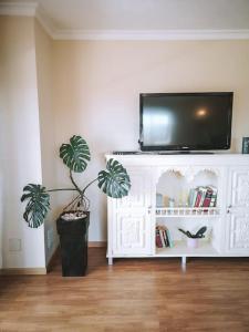 una TV in cima a un mobile bianco con una pianta di Green Ville a Faro