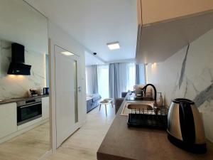 a kitchen with a sink and a counter top at Baltic Soul Villa in Międzyzdroje