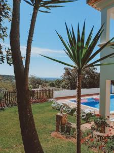 uma vista para um quintal com uma piscina e palmeiras em Green Ville em Faro