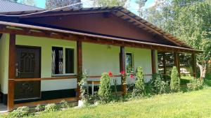 ポドボホツにあるDacha PODOBOVETS 127の茶色の扉と植物のある小さな家