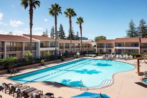 uma imagem de uma piscina num hotel com palmeiras em Santa Clara Marriott em Santa Clara