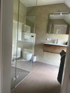 een badkamer met een wastafel, een toilet en een spiegel bij byTilch in Borgercompagnie