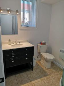 a bathroom with a sink and a toilet and a mirror at Le 4 SAISONS 2 in Beaupré